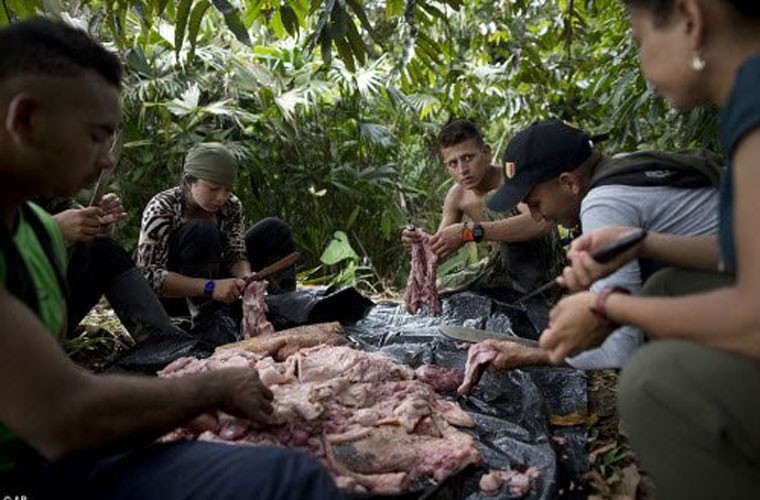 Anh hiem: Cuoc song trong rung cua quan noi day Colombia-Hinh-2